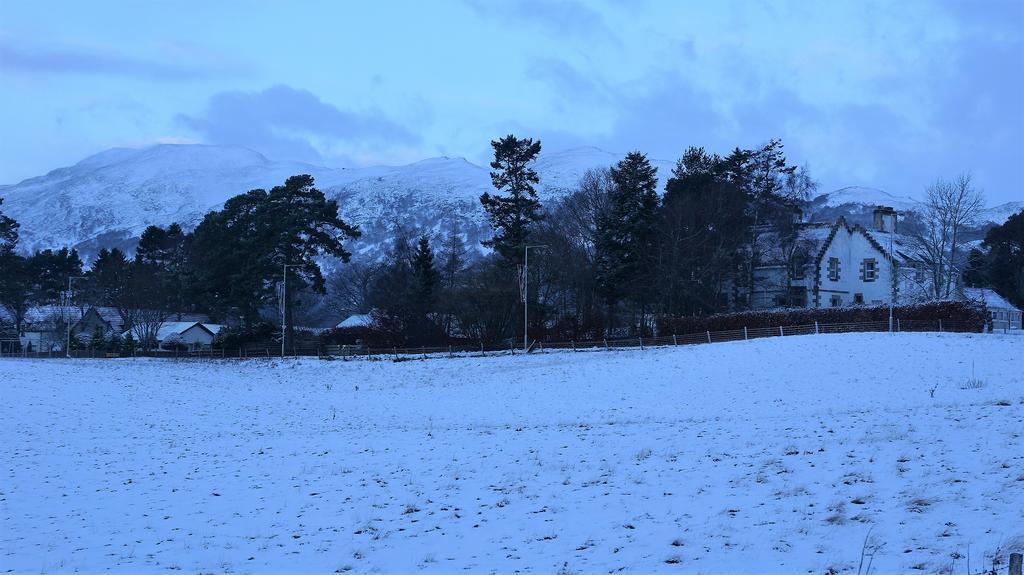 Dower House Newtonmore B&B Dış mekan fotoğraf