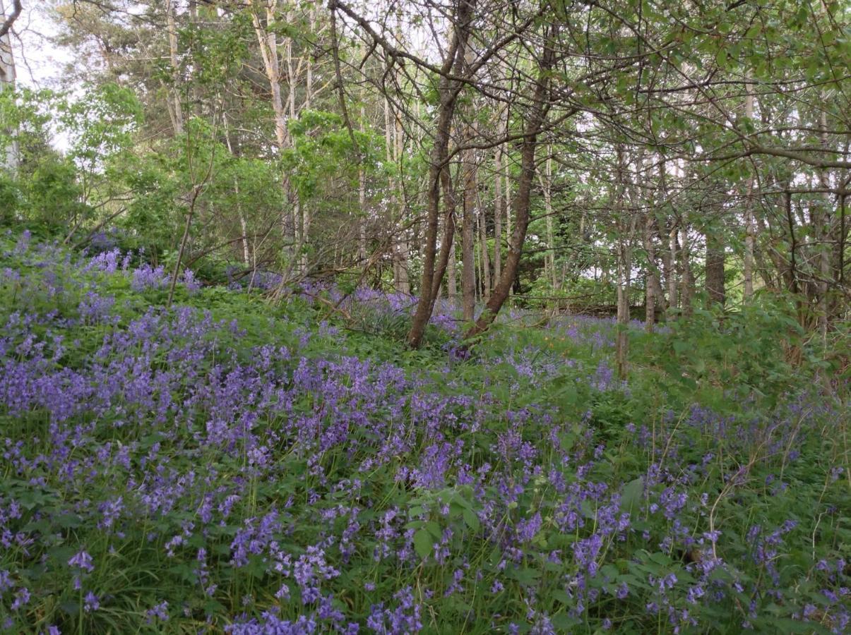 Dower House Newtonmore B&B Dış mekan fotoğraf